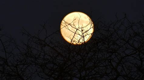 Fenomenul Care Apare N Aceast Noapte Pe Cerul Rom Niei Ce Este Luna