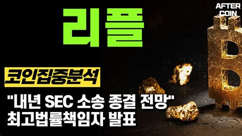 리플 코인 내년 Sec 소송 종결 전망 최고법률책임자 발표 리플코인전망 리플코인분석 리플코인시세 Youtube