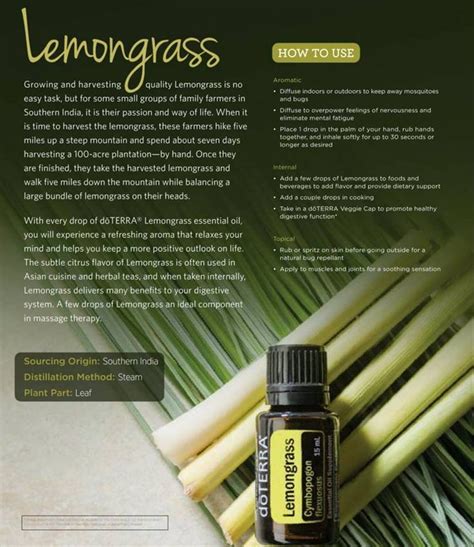 A Popular Digestive Tonic Doterra Lemongrass Has A Refreshing Lemon Herb Like Aroma Lemongras