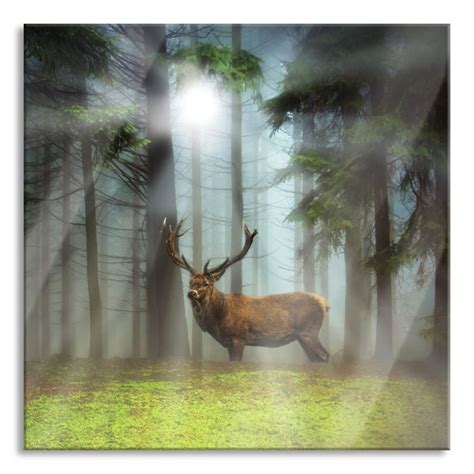 Union Rustic Glasbild Hirsch Auf Waldlichtung Sonnenstrahlen Wayfair De