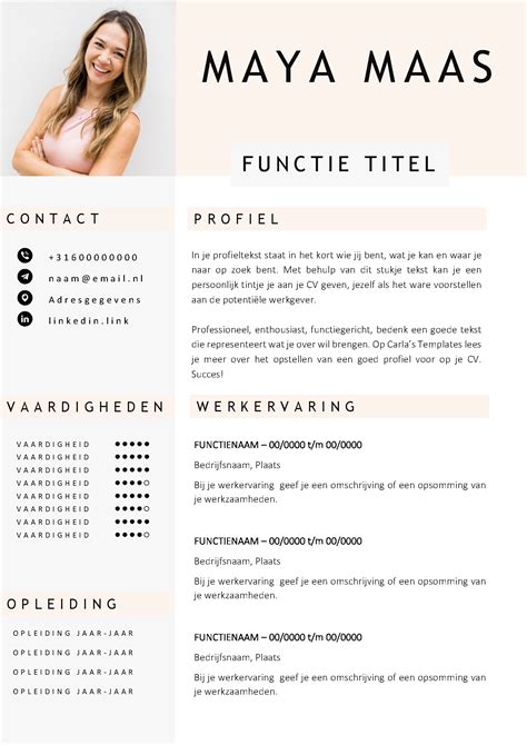 Gratis CV Template 12 Voorbeeld CV In Word Gratis