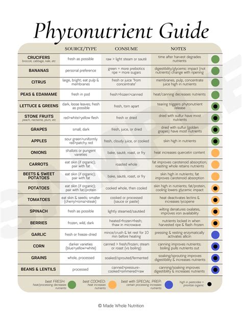 Phytonutrient Guide Handout — Functional Health Research + Resources ...