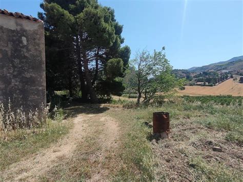 Terreno Agricolo Contrada Balata Di Baida Castellammare Del Golfo Rif