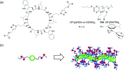 A Chemical Structure Of The Drug Loaded Cyclic Peptide−polymer