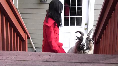 Free Lesbian Mistress Porn Videos XHamster