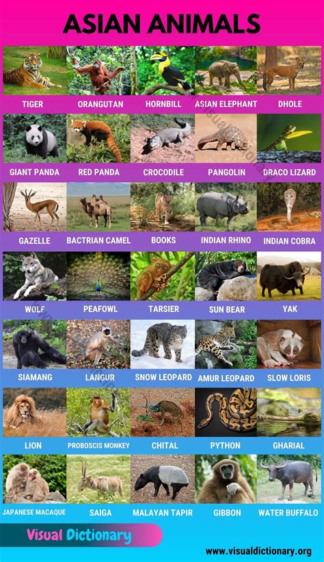 Asian Animals: Useful List of 35 Animals Found in Asia | Zoo animals ...