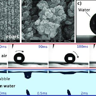 Superhydrophobicity And Underwater Superaerophilicity Of The