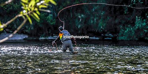 Pesca En La Patagonia Pesca Con Mosca