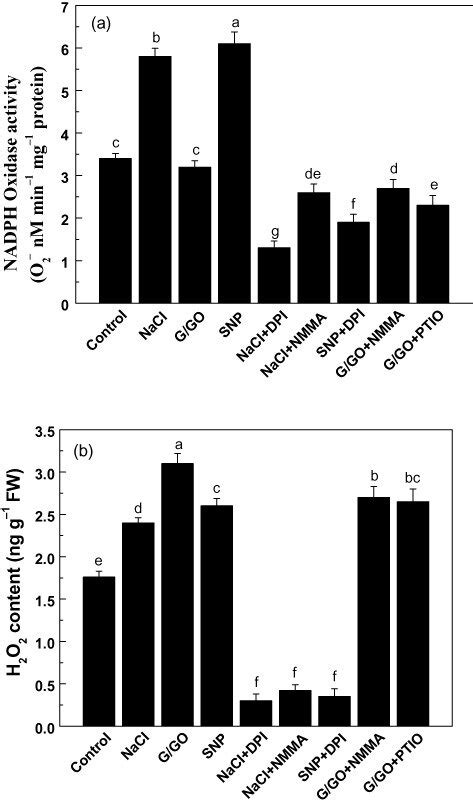 Plasma Membrane Pm Nadph Oxidase Activities And Hydrogen Peroxide