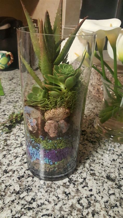 Tall Glass Vase Terrarium Easy And Beautiful For Your Home Tall