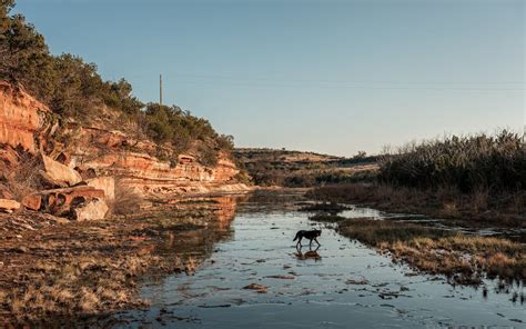 Big Texas Ranches Are Still Selling for Big Texas Bucks