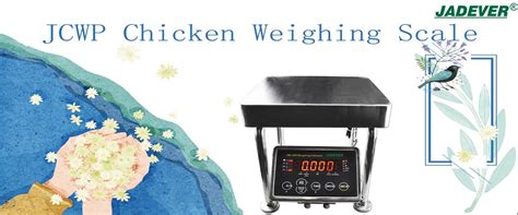 Application Scenarios And Importance Of Chicken Weighing Scale