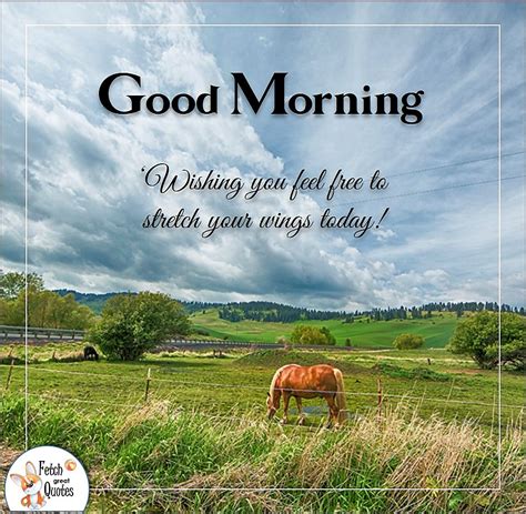 Country Good Morning Fetch Great Quotes