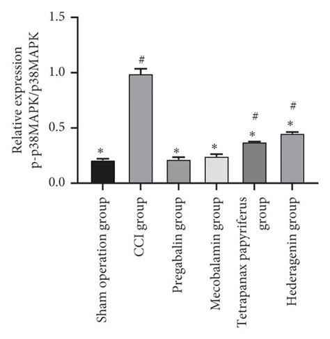 The Expression Of Trpa1 Trpm8 P38 Mapk And Phosphorylated P38 Mapk