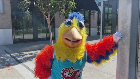 San Diego Chicken cheers up Padres fans | cbs8.com