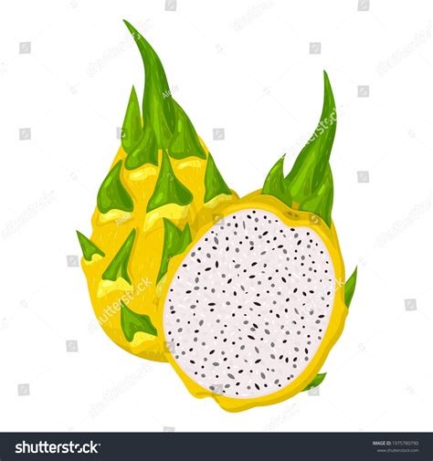 Fresh Whole Half Cut Yellow Pitaya Vector De Stock Libre De Regal As