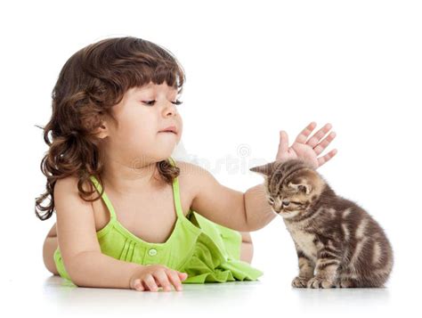 Enfant Heureux Dr Le Jouant Avec Le Chaton De Chat Photo Stock Image