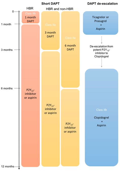 Jcm Free Full Text Antiplatelet Therapy And Anticoagulation Before