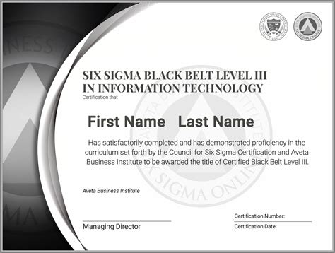 Six Sigma Black Belt Level Iii Certification In Information Technology