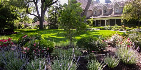 Horizon Landscaping And Irrigation Residential And Commercial