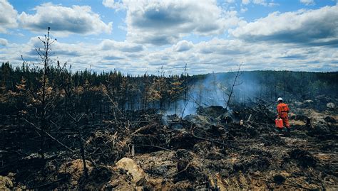 Canada Wildfires Have Burned Over 10 Mln Hectares This Year Figures Cgtn