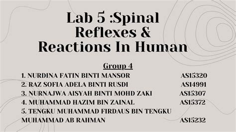 Biology Lab Spinal Reflexes Reaction In Human Group Youtube