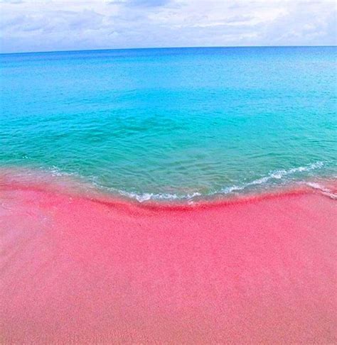 THE ROMANTIC PINK BEACH OF THE KOMODO ISLANDS (indonesia) — Steemit