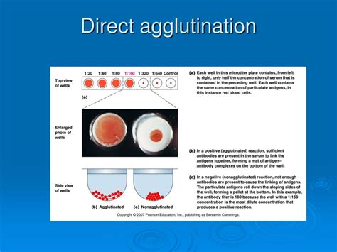 PPT Practical Applications Of Immunology PowerPoint Presentation