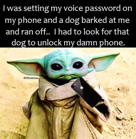 Pin By Sandy Thomas On Baby Yoda Grogu Memes Yoda Funny Funny Babies