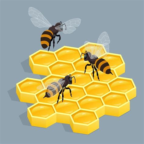 Abejas En Peine Ilustraci N Isom Trica Vectorial Aislada Panales