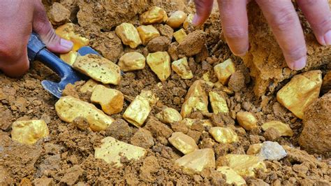 So Lucky Digging Up For Treasure Worth Million Dollar From Huge