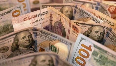 سعر الدولار اليوم في مصر الإثنين 30 يناير 2023 الأخضر يترقب الفائدة