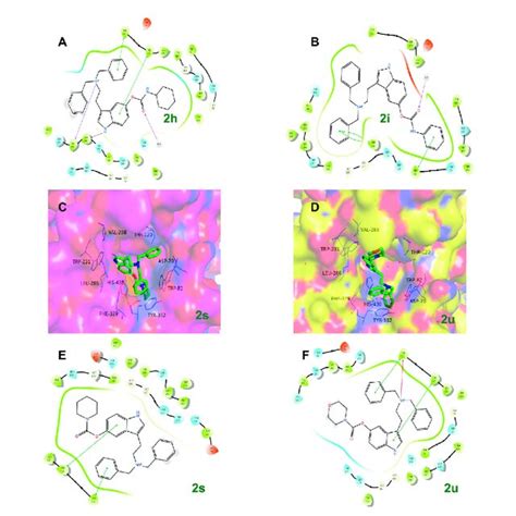 The Possible Binding Mode For The Compounds 2e And 2f In The AChE PDB