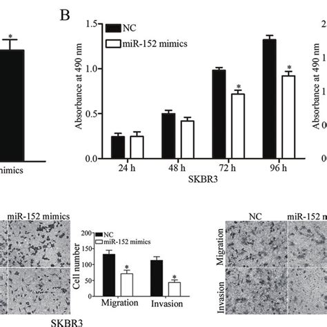 Restoration Of Mir Expression Repressed Breast Cancer Cell