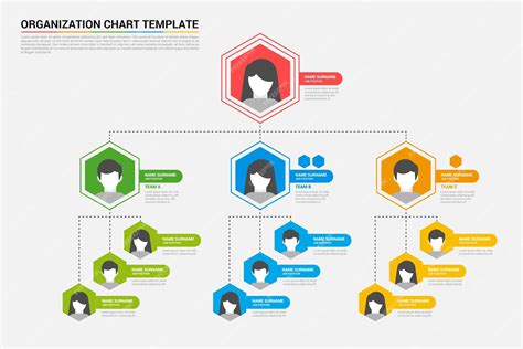 Organizational Chart Graphic