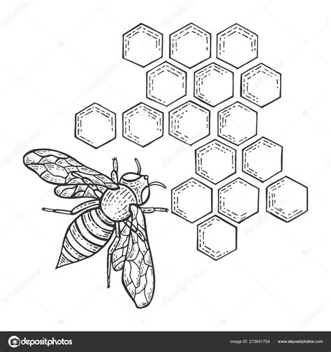 beehive drawing easy 5