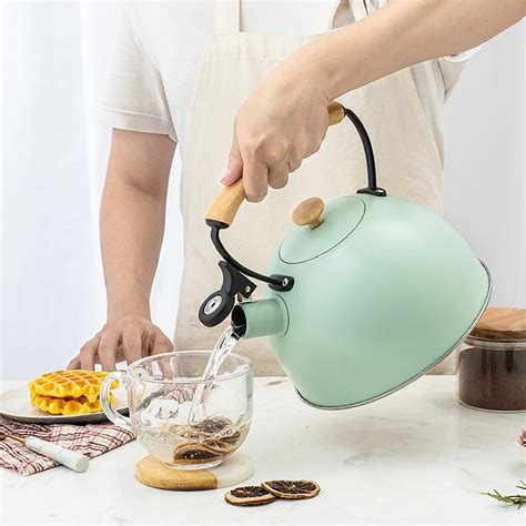 2 5L Whistling Kettle For Gas Stove Chaleira Bouilloire Stainless Steel