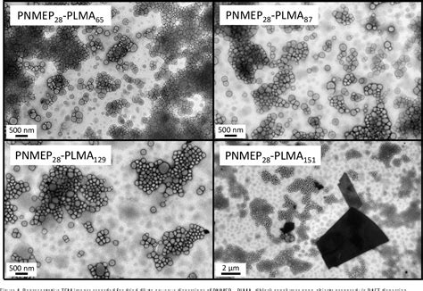 Figure 1 From RAFT Dispersion Polymerisation Of Lauryl Methacrylate In