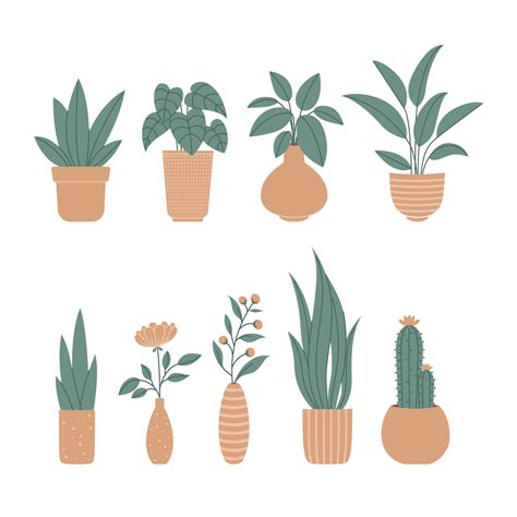 Home Plant Clipart, Indoor Decor, House Plant, Potted, Cactus, Ceramic ...