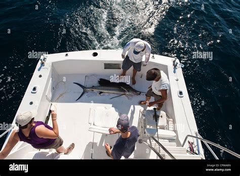 Mexico Puerto Vallarta Deep Sea Sportfishing For Sailfish Puerto