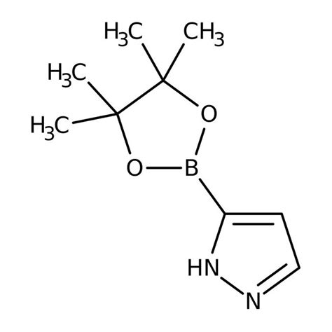 1H Pyrazole 3 Boronic Acid Pinacol Ester 95 Thermo Scientific Chemicals