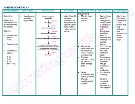 Nanda Nursing Diagnosis Hypokalemia