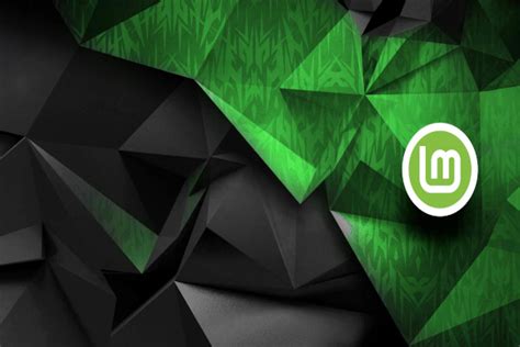 900 Linux Mint Desktop Backgrounds đẹp Nhất Cho Máy Tính