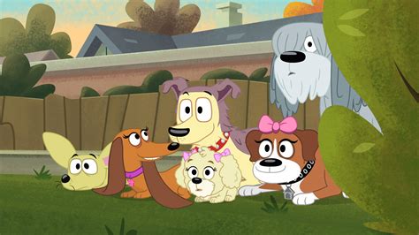 Pound Puppies 2010 Wallpapers - Wallpaper Cave