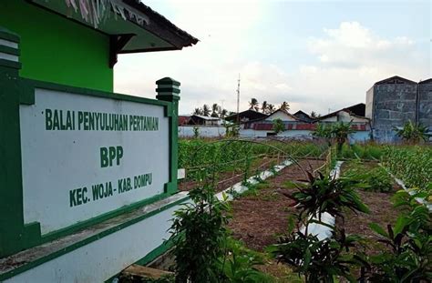 BALAI PENYULUHAN PERTANIAN BPP KECAMATAN WOJA KABUPATEN DOMPU