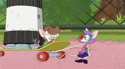 Yarn Come Pinky Animaniacs 2020 S02e10 Cold Open Exercise