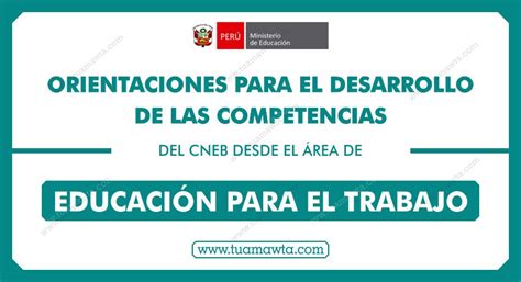 MINEDU Orientaciones Para El Desarrollo De Las Competencias Del CNEB