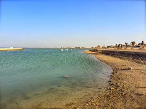 Abroad in Qatar.: Kayaking in Al Khor.