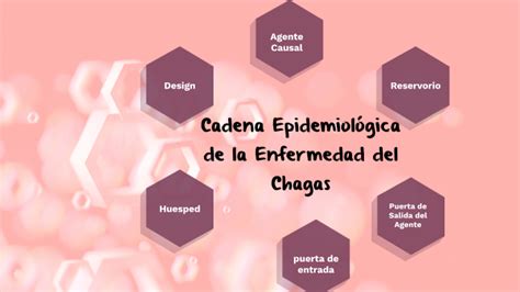 Cadena Epidemiológica de la Enfermedad del Chagas by Lucia Delgado