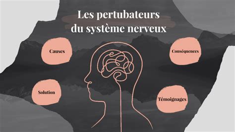 Les Perturbations Du Syst Me Nerveux By Zakaria Azdad On Prezi